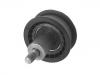 руководство шкив Idler Pulley:036 109 244 D