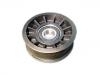 Polea loca, polea tensora Belt Tensioner:05281007