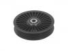 导带轮 Idler Pulley:77 00 314 075