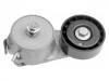 натяжной ролик сборки Belt Tensioner:73502730