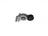 натяжной ролик сборки Belt Tensioner:054 903 133