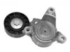 натяжной ролик сборки Belt Tensioner:9663566180