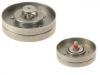 Polea loca, polea tensora Idler Pulley:06H 903 341 D