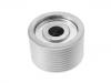 Polea loca, polea tensora Idler Pulley:74 21 454 548
