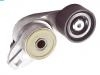 натяжной ролик сборки Belt Tensioner:21417563