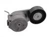 Belt Tensioner:55247439