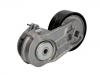 Belt Tensioner:AL181832