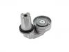 Belt Tensioner:LR013506