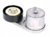 Belt Tensioner:12581203